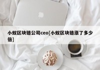 小蚁区块链公司ceo[小蚁区块链涨了多少倍]